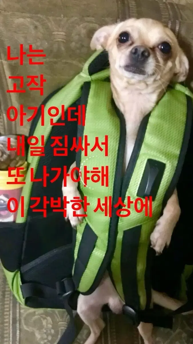 사관학교 실모 삽니다