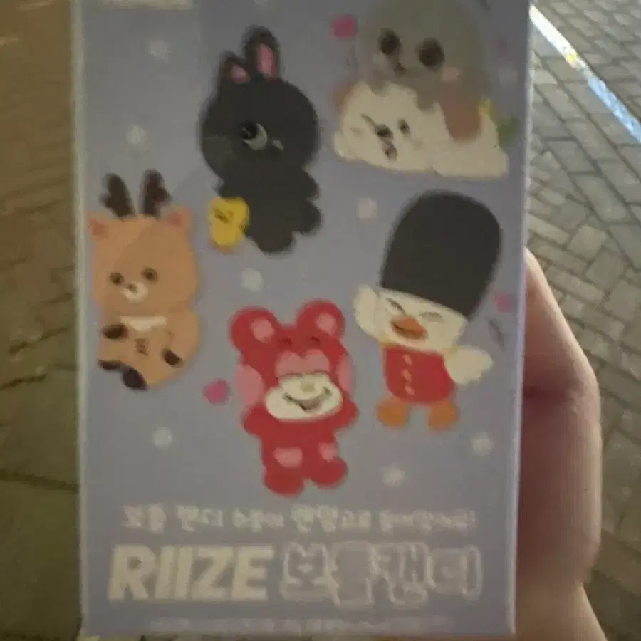 라이즈 보틀캔디 리즈코