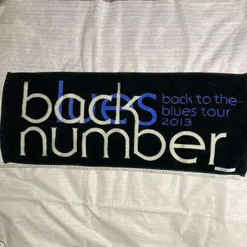 타월 2013년 back to the blues back number