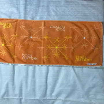 타월 2012 back number