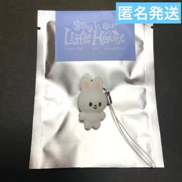Stray Kids 스키즈 팬미팅 플로키 미니 참 리노 Lee 비트
