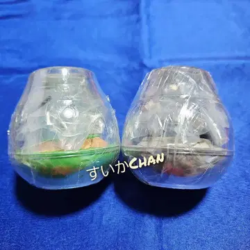 캡슐리움 드래곤 퀘스트 슬라임 도망간 메탈 가챠 2