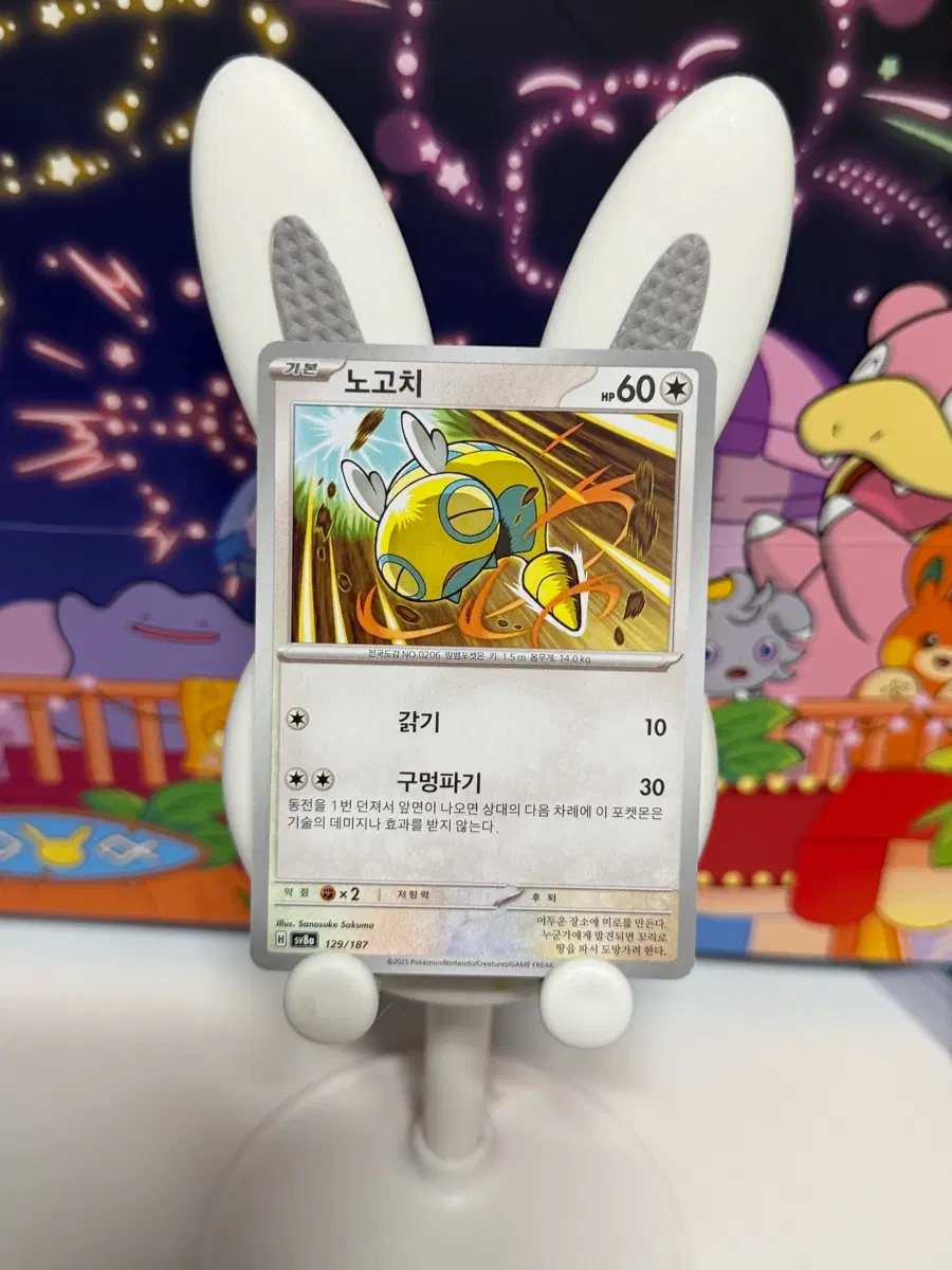 포켓몬카드 sv8a 129/187 노고치 일반카드 도감용 덱소스