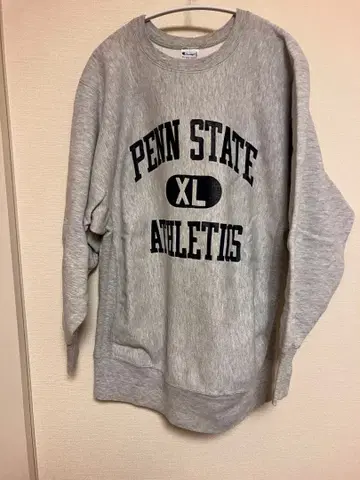 Champion Reverse Weave Penn State XL90's