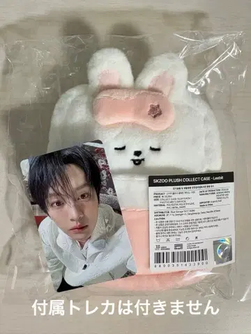 straykids 팬미팅 콜렉트 케이스 Leebit