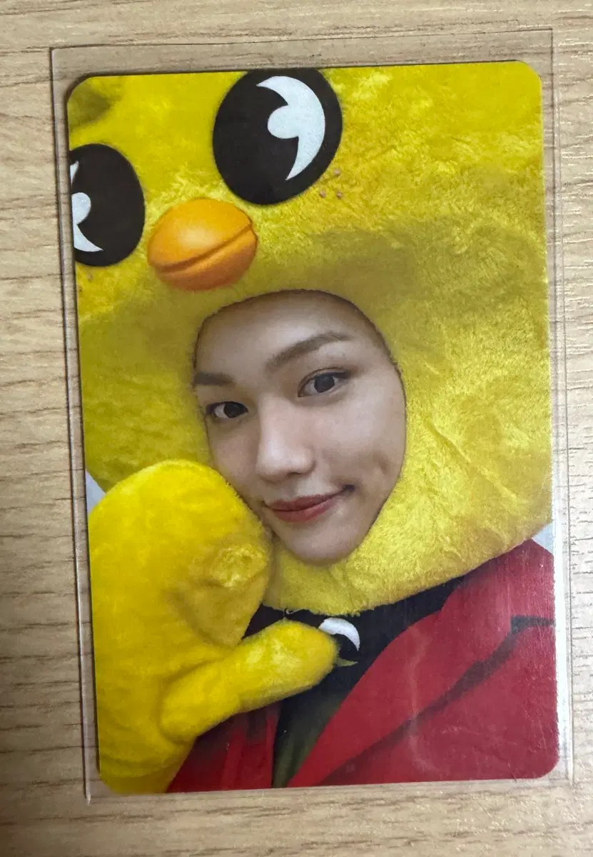 필릭스 노이지 사웨 미공포