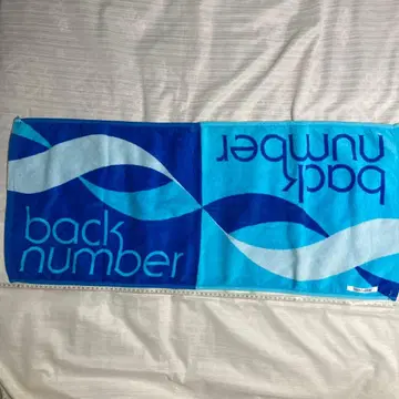 타월 2013 fish back number