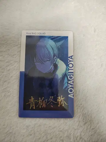 프로세카 프로젝트 세카이 epic card 에피카 금박 아오야기 토야