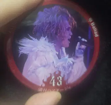 kamijo 캔뱃지 Versailles