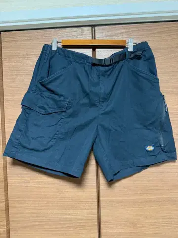 Dickies 디키즈 숏팬츠 네이비 5L