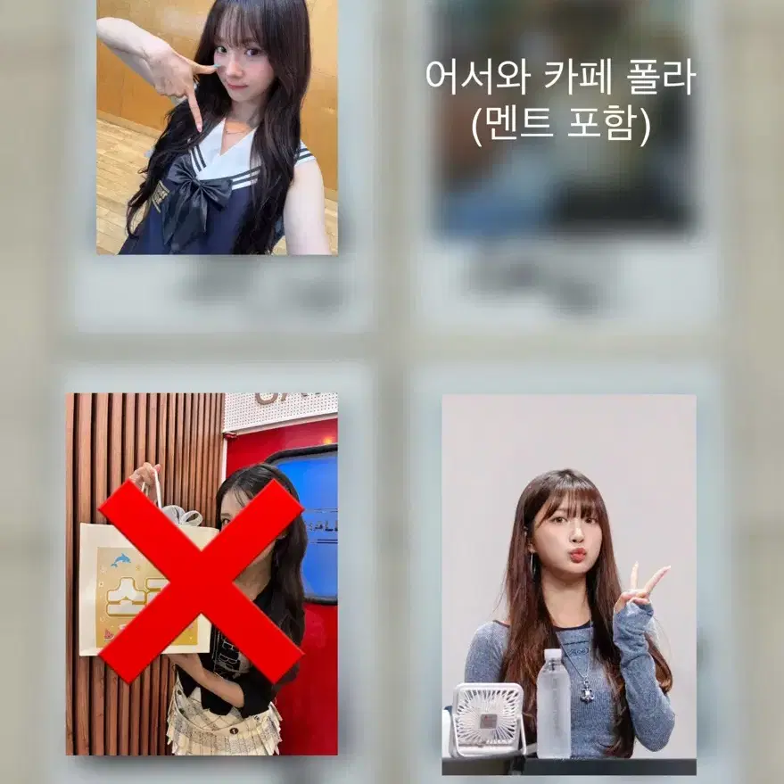 우아 폴라 양도