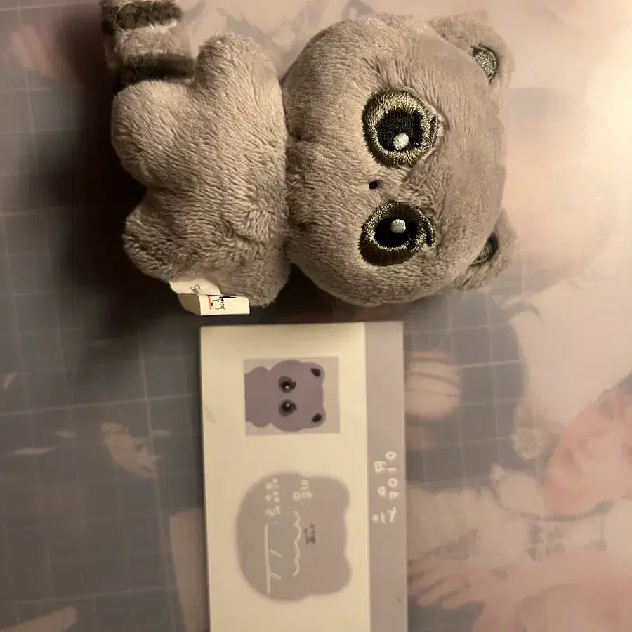 덥뮤다선 인형 선우 선뽀 양도