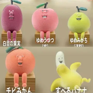 칸다 아키라 신비한 과일 플로키 피규어 컬렉션 가챠 컴프