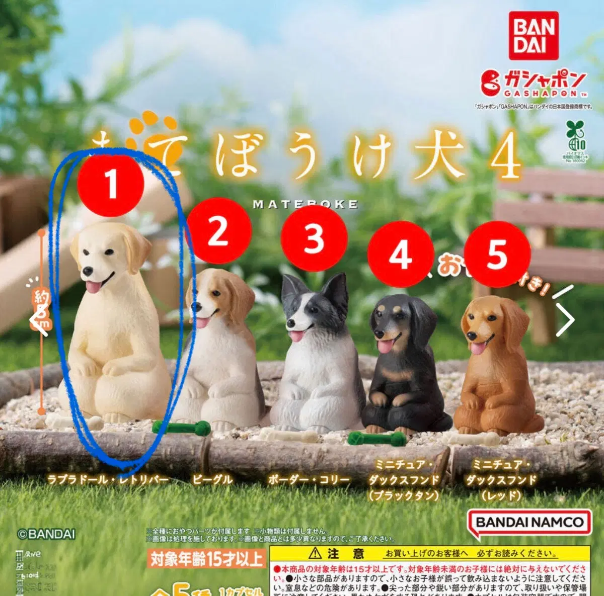 마테보케 이누 4탄 마테보우케4 언제오려나 마치보케 마치보우케 강아지