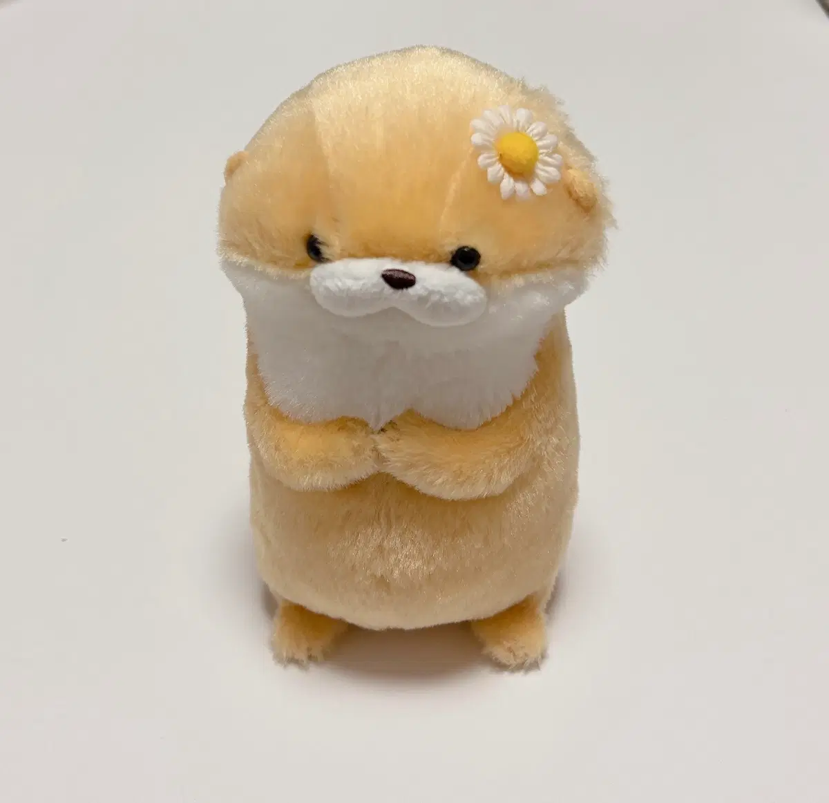 어뮤즈 우소얀 수달인형 17cm