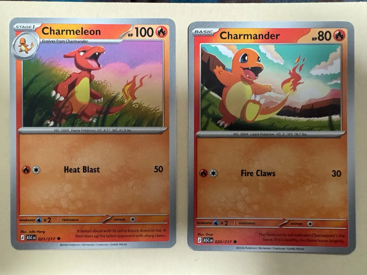 [포켓몬카드] 리자드 (Charmander) & 리자몽 (Charmeleon)