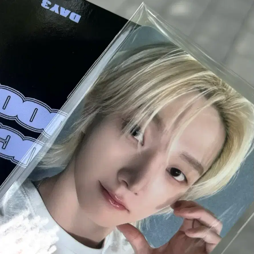 럭키도어 보넥도 포카 보이넥스트도어 낙원 볼륨2 원도어존 콘서트