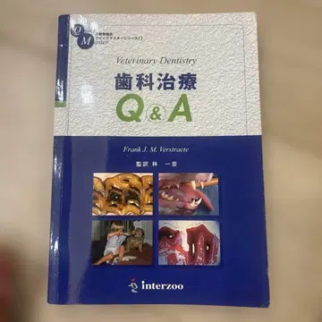 치과 치료 Q&A