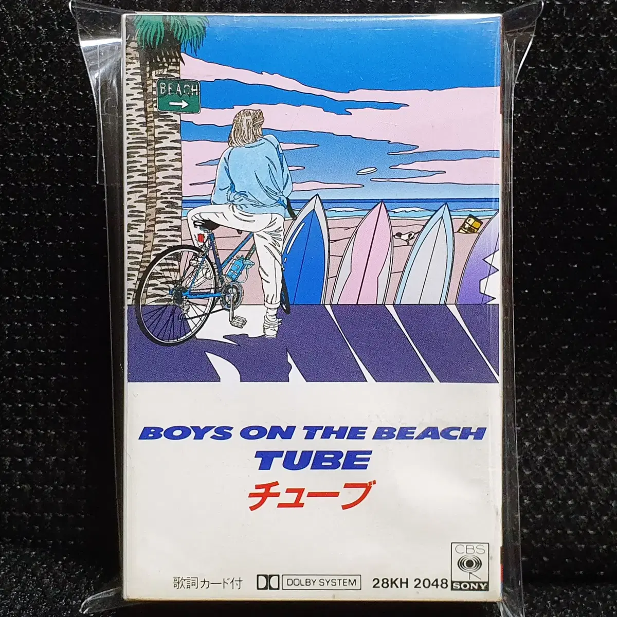 튜브 TUBE BOYS ON THE BEACH 카세트 테이프
