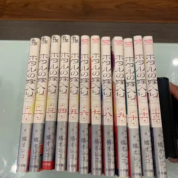 반딧불이의 신부