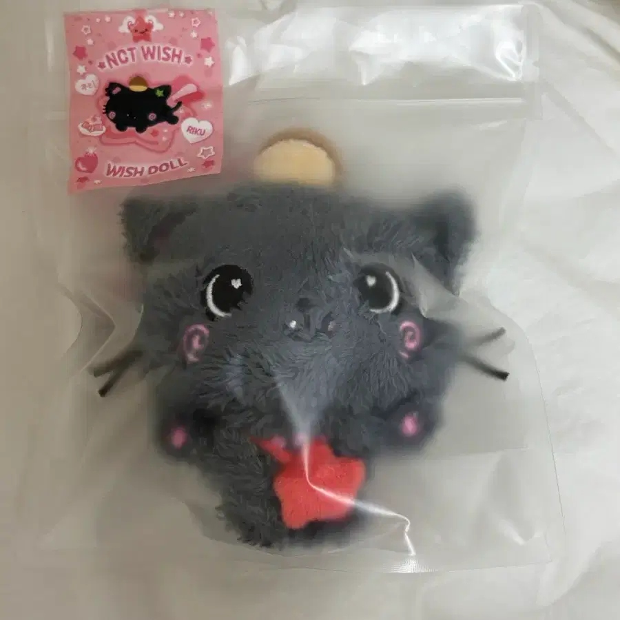 엔시티위시 위시돌 쿠리