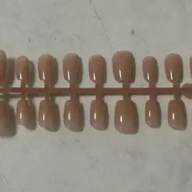 네일팁