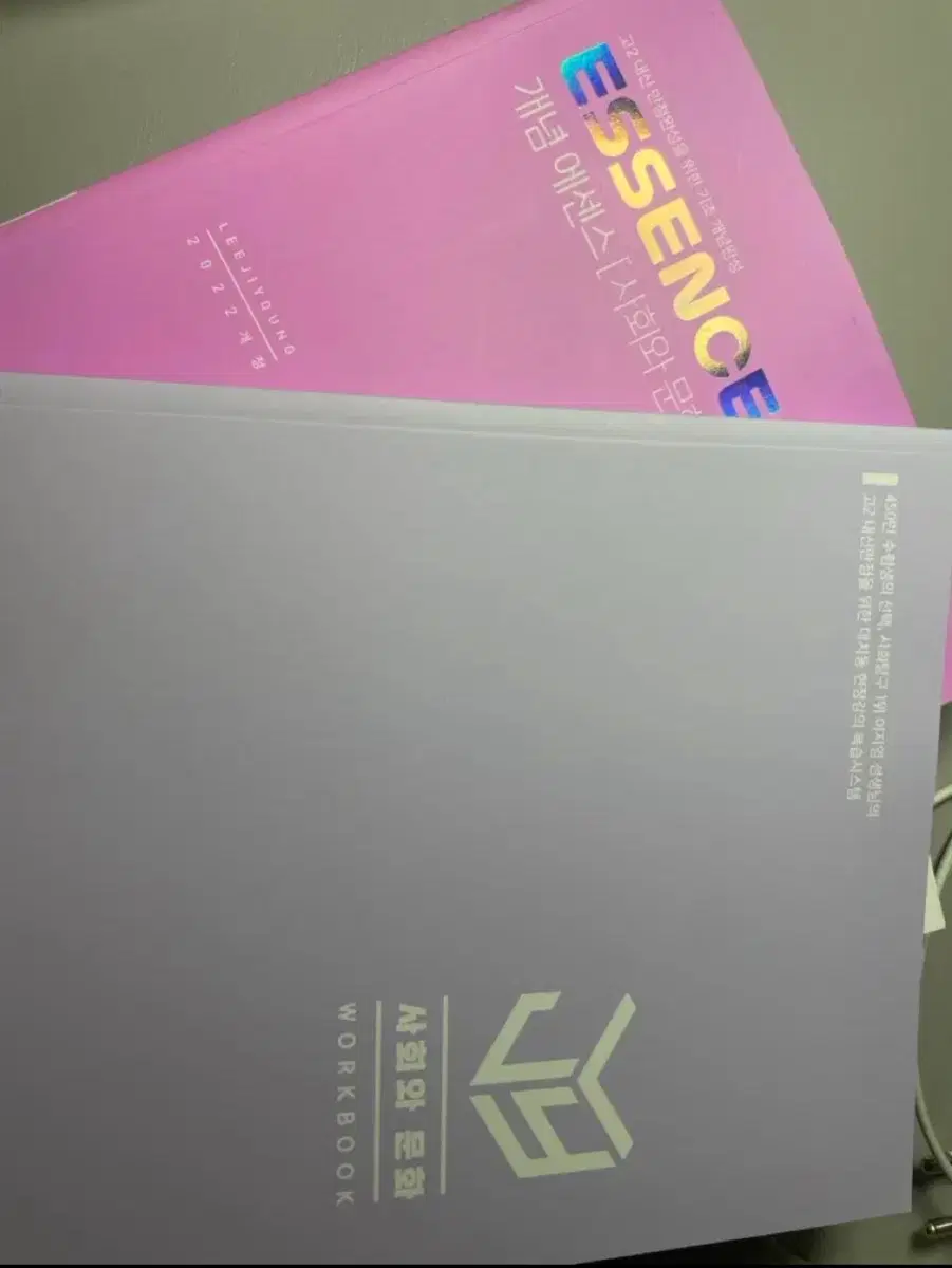 이지영 개념 에센스 사회문화
