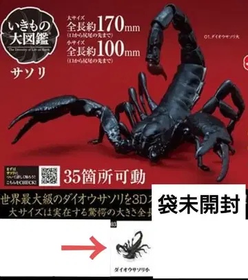 생물대도감 전갈 대왕전갈 소