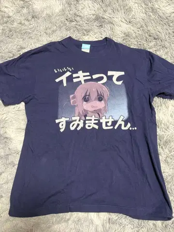 봇치 더 록 이키테 스미마센 Lsize