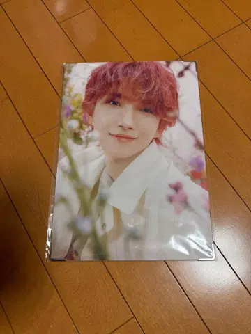 조슈아 프리미엄 사진