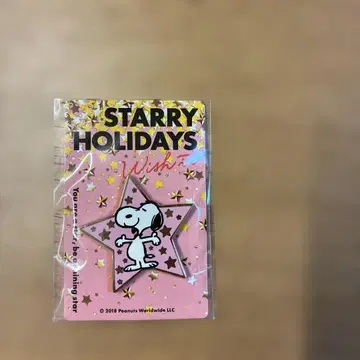 PEANUTS 스누피 핀 배지 STARRY HOLIDAYS