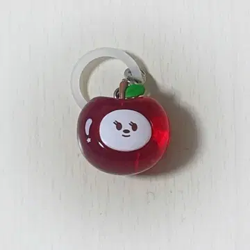 TXT PPULUBATU Hey! APPLE 밤굿 미니 키링