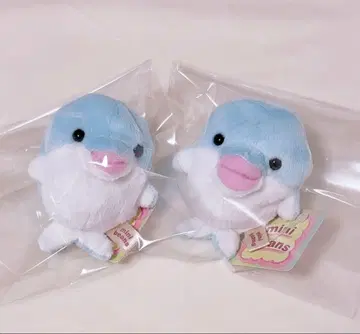minibeans 미니콩 돌고래 봉제 인형 마스코트
