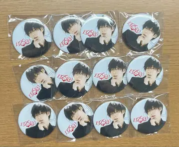 우라시마사카타센 토나리노 사카타 TA13OO 특전 애니메이트 캔뱃지 실사