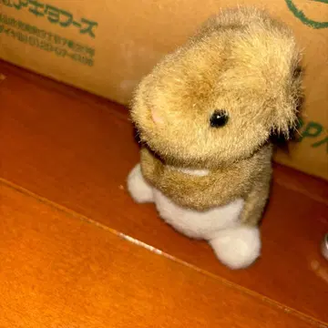 카바야 다람쥐 봉제 인형