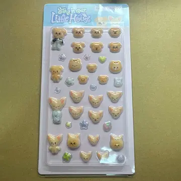 StrayKids 스키즈 팬미팅 3D 스티커 D 승민 아이엔