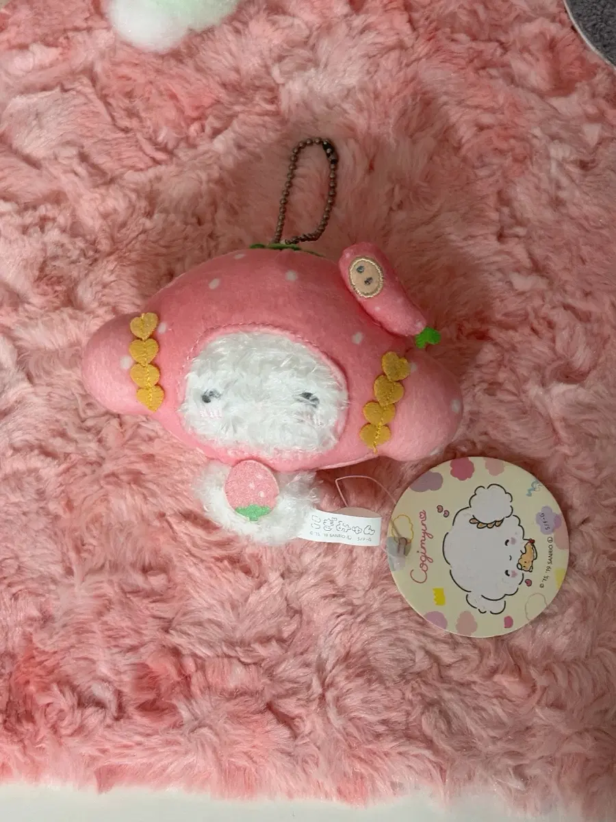 [고전] 딸기 코기뮹