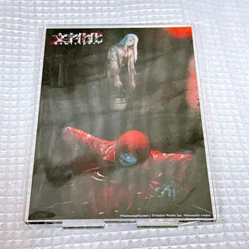 Switch 문자화화 스텔라세트 특전만 스텔라워스 한정판 아크릴 스탠드