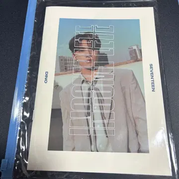 디노 사진집
