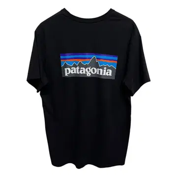 Patagonia 남성용 P-6 로고 레스폰서빌리티