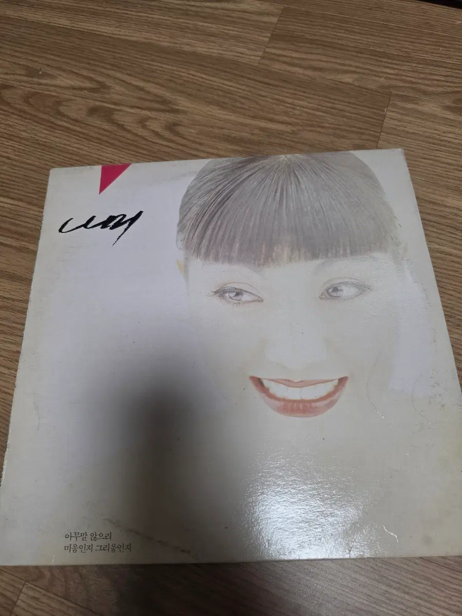 나미 미인인지 그리움인지 LP