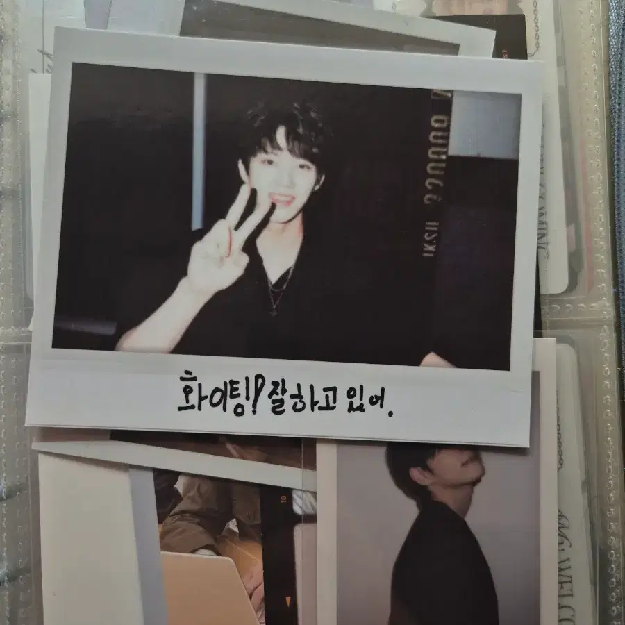 도운 선라이즈 폴라로이드 (배송비 포함 가격)
