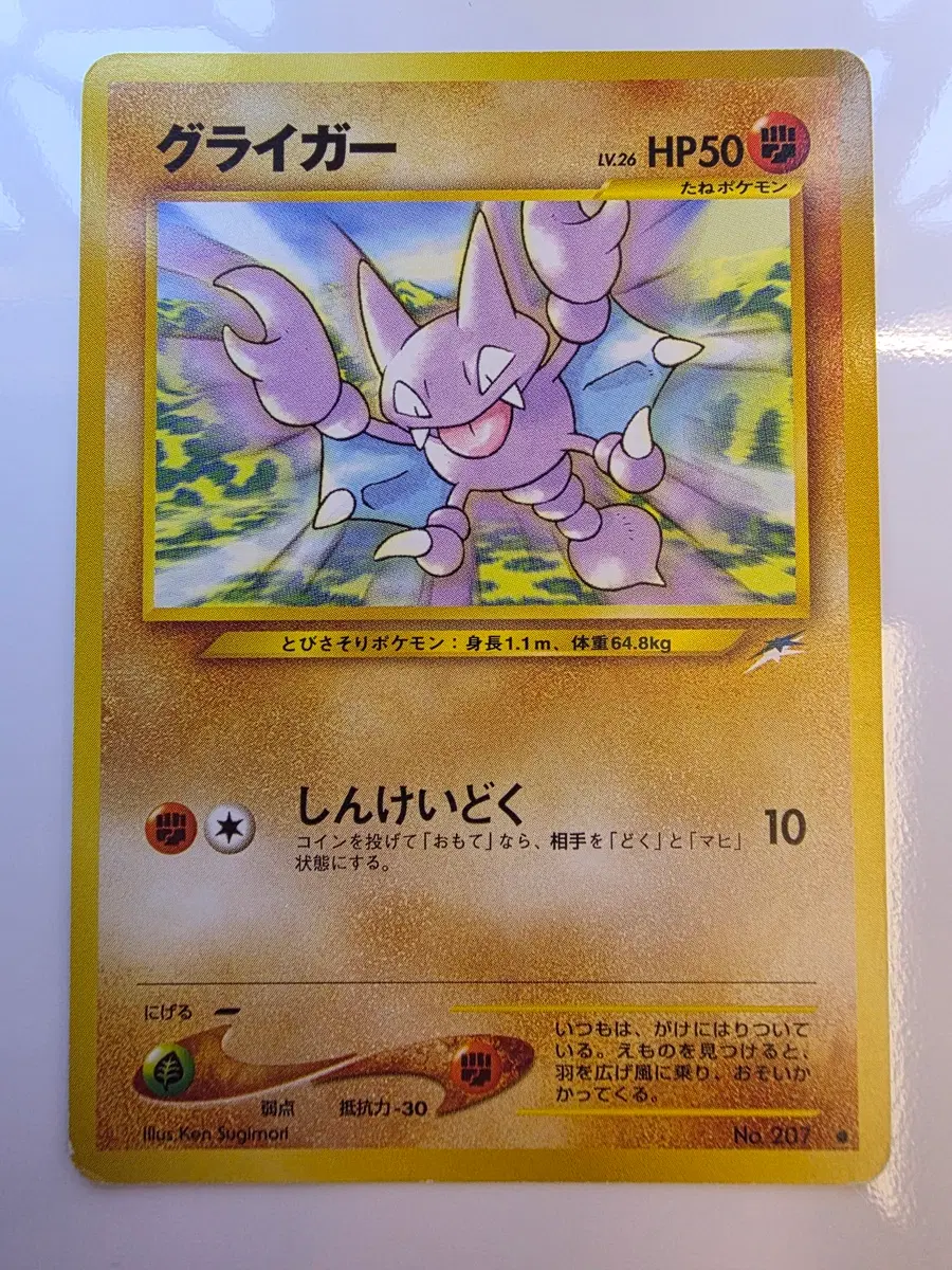 포켓몬카드 1996 초기 글라이가