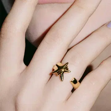 대특가!! 미사용 새상품 LAPUIS 라피유 Coil Star ring