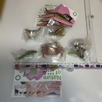 가챠의 일본의 생물 Nature of Japan 5종 세트