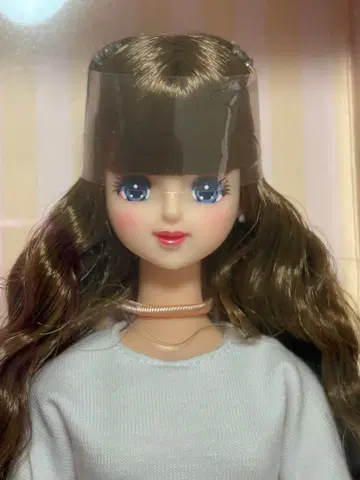 리카짱 캐슬 2026년 발렌타인 모델 제니 인형 본체
