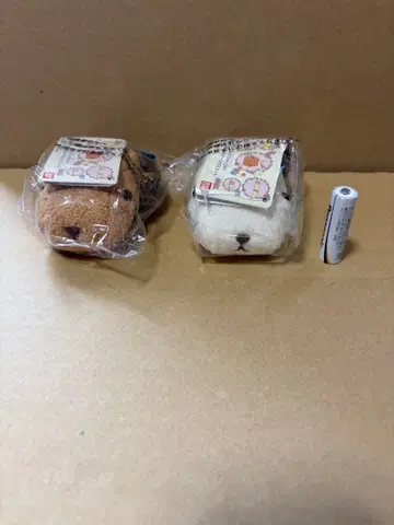 카피바라 씨 산큐르 지구 마스코트 2종 세트 봉제 인형 반다이