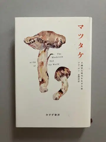 송이버섯 불확실한 시대를 살아가는 법 아나 친