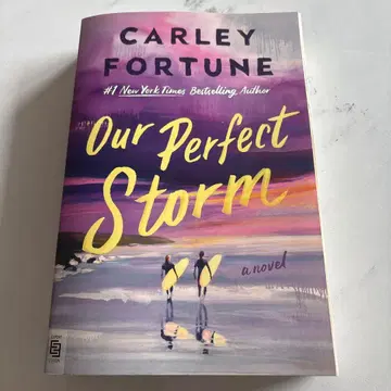 Our Perfect Storm Carley Fortune 외국도서