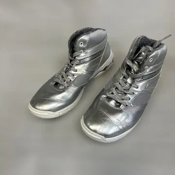 미즈노 웨이브 다이버스 실버